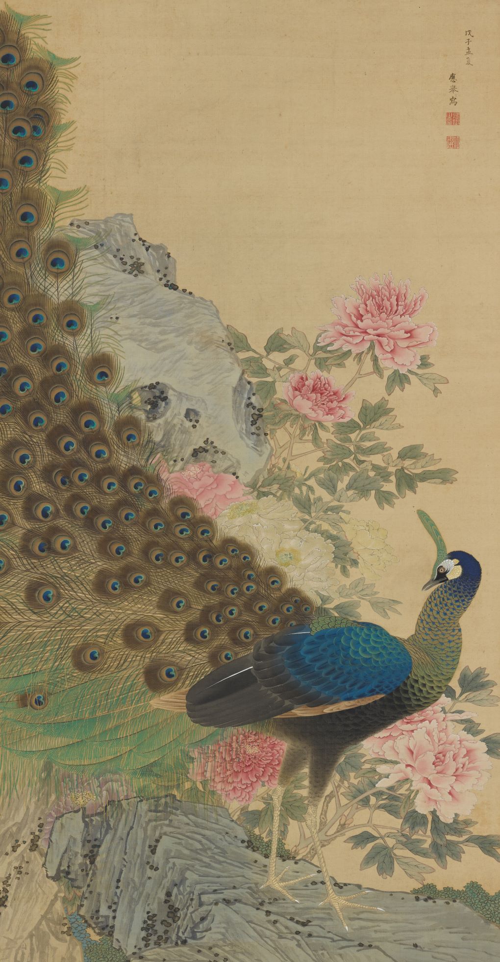 Image Credits: Maruyama Ōkyo, Peacock and Peonies, 1768, Edo Period, Hanging scroll; ink, color, and gold on silk, 135 x 70.6 cm (53 1/8 x 27 13/16 in.), Promised gift of Robert S. and Betsy G. Feinberg, TL42147.17, Photography by John Tsantes and Neil Greentree, © Robert Feinberg